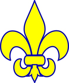 Cub scouts