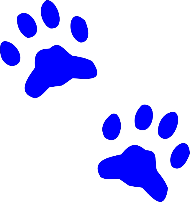 paws.jpg