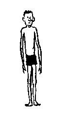ectomorph2.jpg