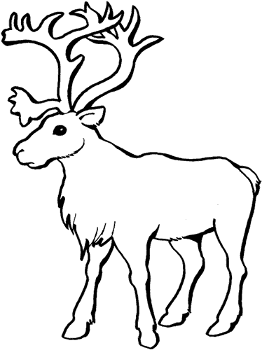 Tatting my Doilies: My Reindeer Flies Sideways