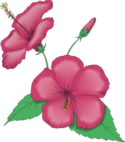 Cartoon Flowers | Page 6