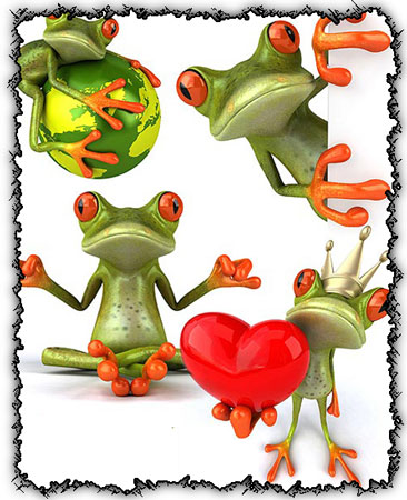 Funny Photos Of Frogs