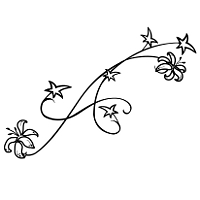 TATTOO TRIBES - Shape your dreams - Tribal Tattoos and their ...