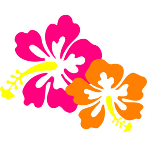 Hibiscus 18 clip art - Polyvore