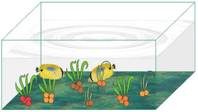 online corel draw tutorials, illustrations, digital arts