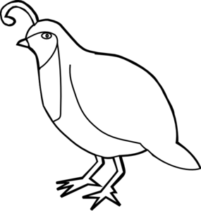 Quail Outline clip art - vector clip art online, royalty free ...