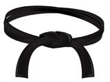 Black belt clip art - Free Clipart Images