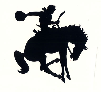 A Bucking Horse