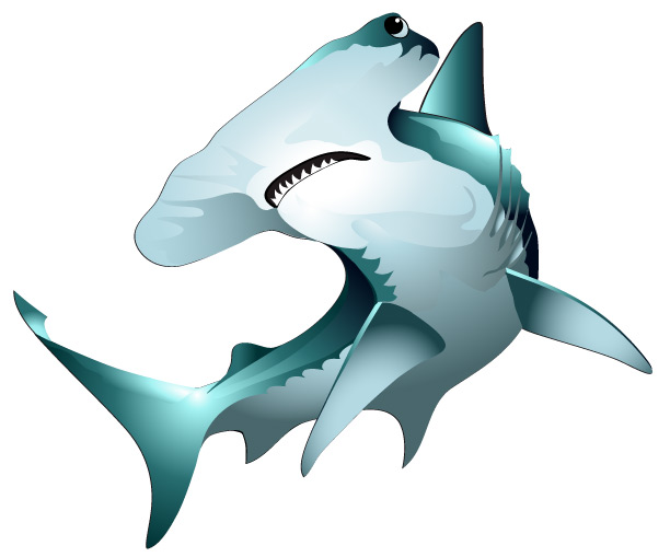 Hammerhead Shark Clip Art - Free Clipart Images