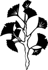 Mega Collection | Trees and Leaves - Lisa Cowden (Vector Art ...