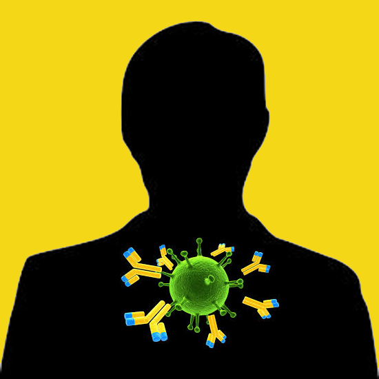Molecular Innovations » Anti-Cathepsin G, Human Neutrophil, Rabbit ...