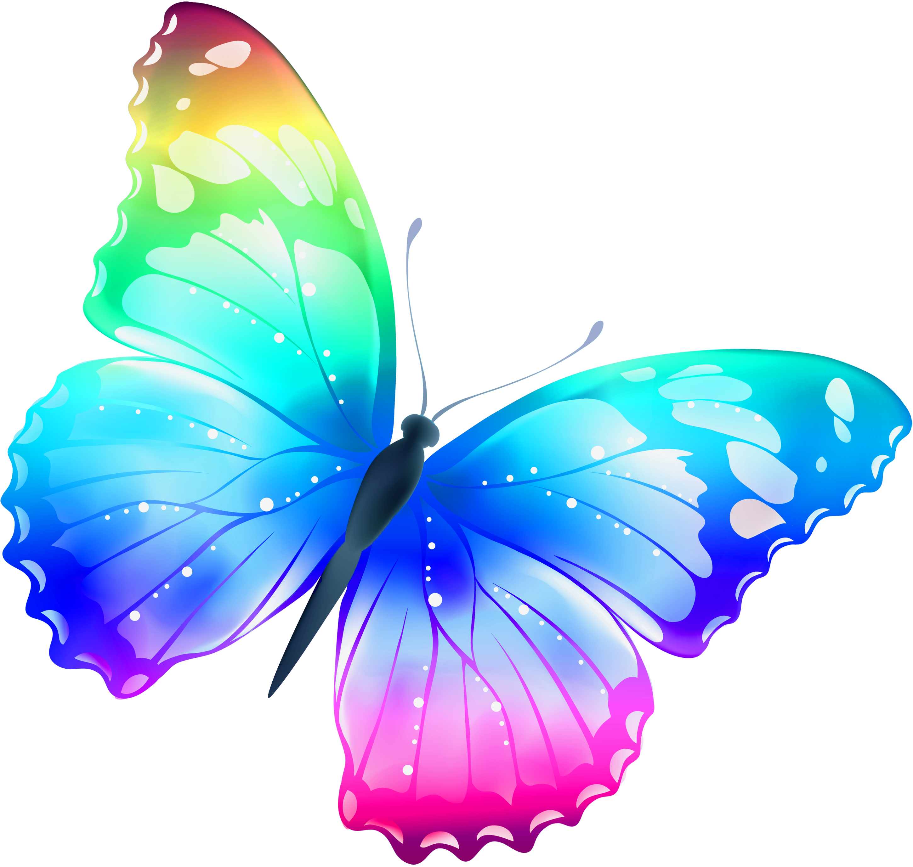 Borboleta Bonita Colorida 10 Png Format Butterfly Clipart Png | Images ...
