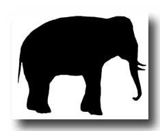 Animal Silhouettes