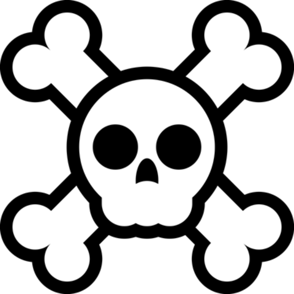 Skull And Crossbones Widescreen Free Wallpapers Hd 2010 2011 ...