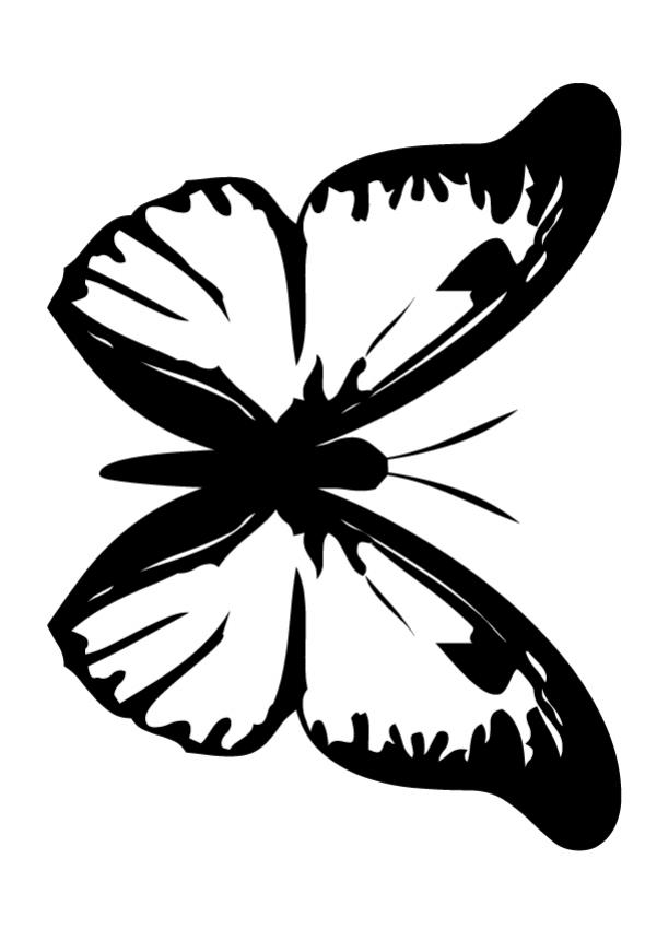 BUTTERFLY coloring pages - Butterfly