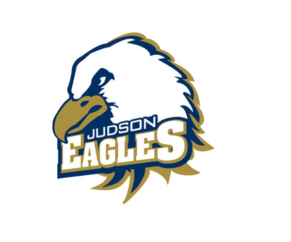 100+ Best Eagle Logo Design Samples for Inspiration