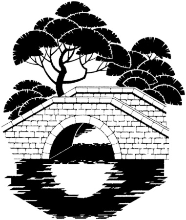 Step by Step Instructions to Draw a Tree