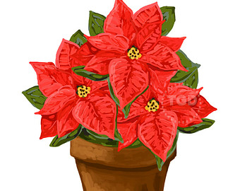Free Poinsettia Clipart | Free Download Clip Art | Free Clip Art ...
