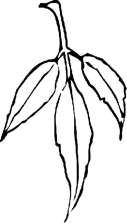 Free pictures OUTLINE - 2876 images found