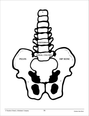 Mr. Skeleton Pattern and Activities} - Printables