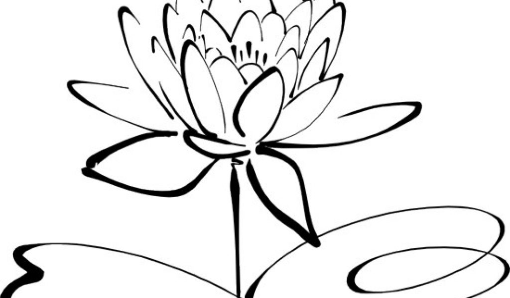 free clip art flowers black and white black white clipart clip art ...