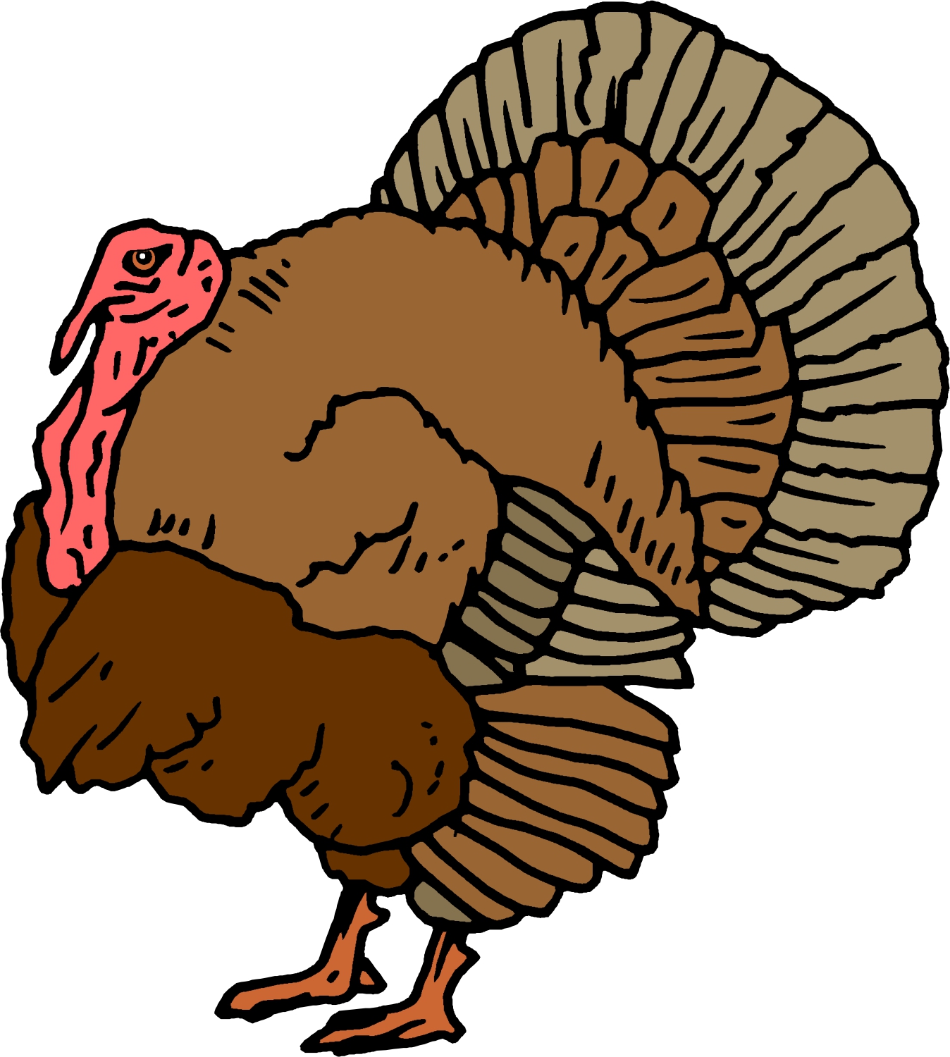 Animated Turkey Images | Free Download Clip Art | Free Clip Art ...