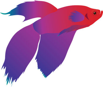 Beta Fish Clipart