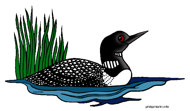 Loon Clipart - Free Clipart Images