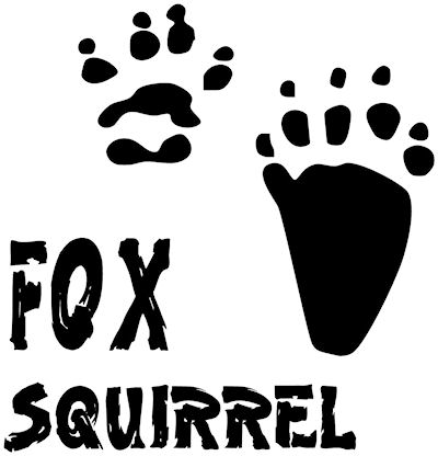 Fox Squirrel Track Decal AT2007