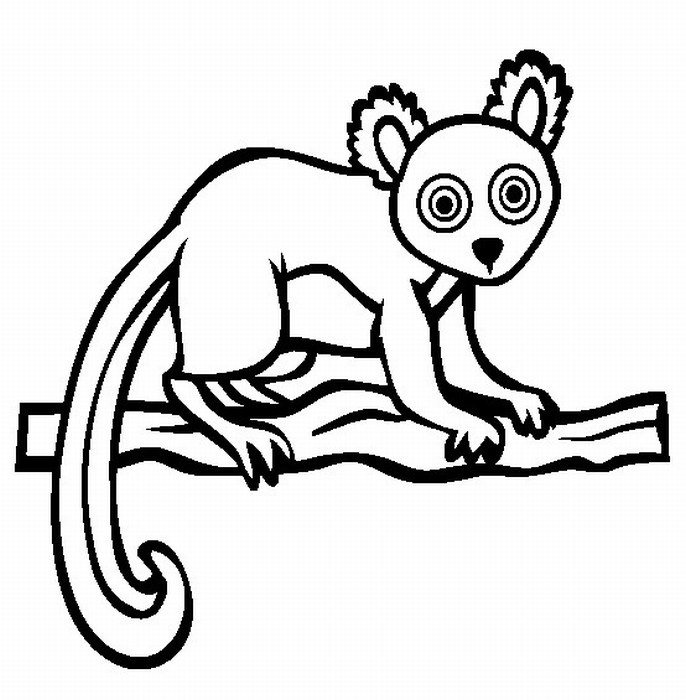 Coloring Pages Of Birds In The Rainforest | Coloring Pages