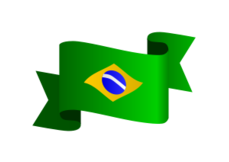 The Brazilian Flag Vector - Download 1,000 Vectors (Page 1)