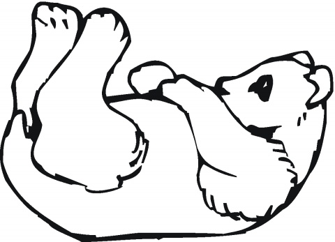 Panda coloring pages | Super Coloring