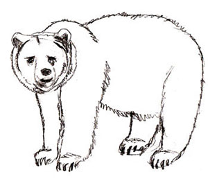 How to Draw a Bear step by step | Wild Animals Drawings for Kids