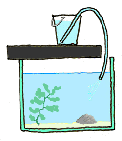 Fish Tank Drawing - ClipArt Best