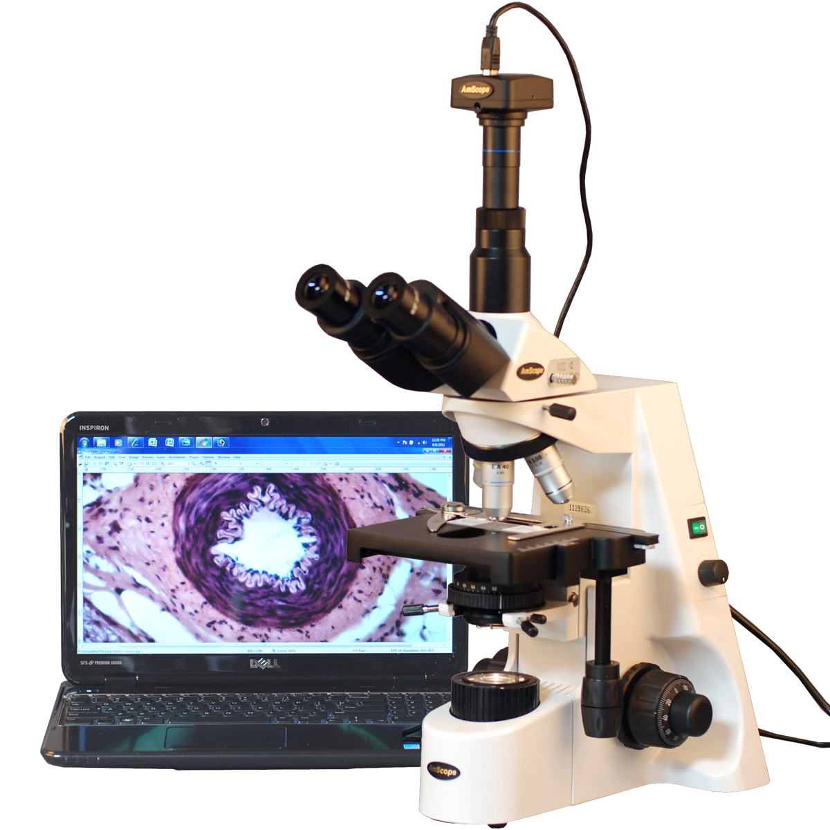 40x 2500x Infinity Plan Achromatic Compound Microscope with 1 3MP ...