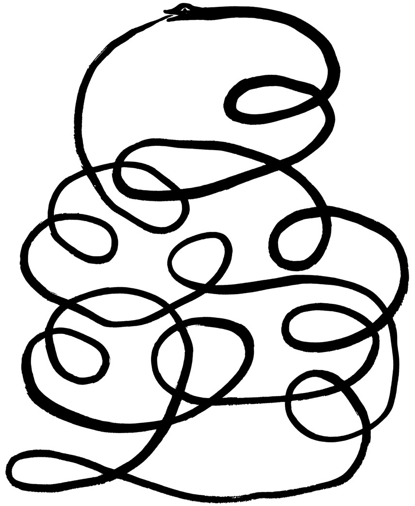 crooked arm: a drawing of a snake and a ghost in the woods