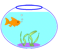 Frances Caprio Foley FLASH Animation