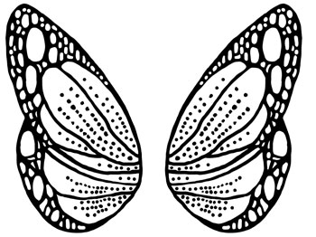 Fairies Wings