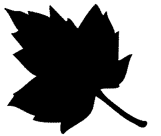 Free Leaves Clipart. Free Clipart Images, Graphics, Animated Gifs ...