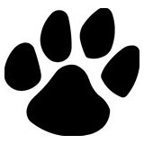 Team Stencil Designs LLC @ Amazon.