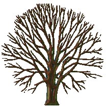 Animation Playhouse Free Animated Gifs Trees Page 1