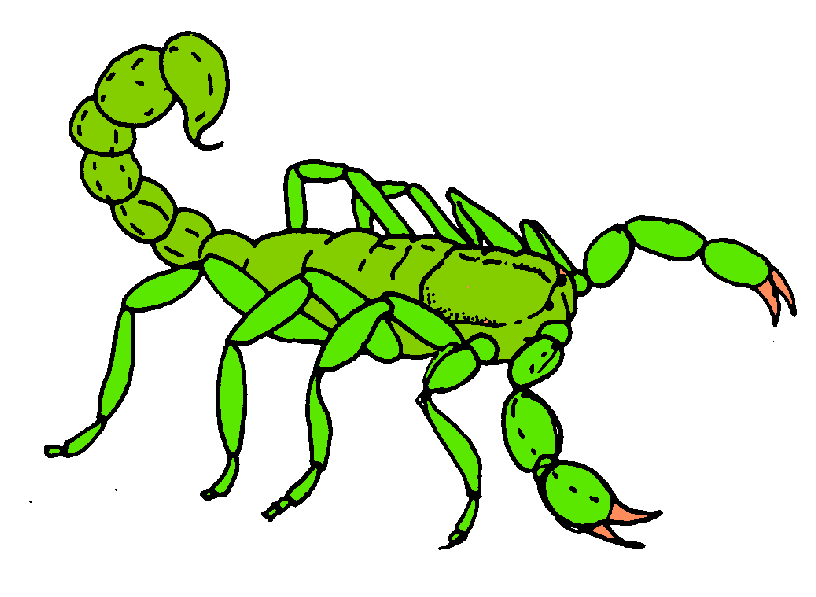 Scorpion Clipart | Free Download Clip Art | Free Clip Art | on ...