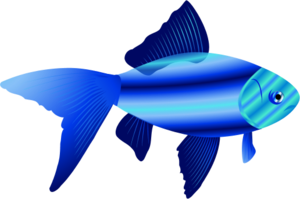 Blue fish clipart