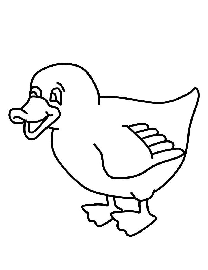 Duck Template - Animal Templates | Free & Premium Templates
