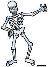 Skeleton Clip Art Free - Free Clipart Images