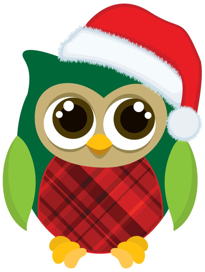 Owl Clip Art | Clip Art, Colorful ...