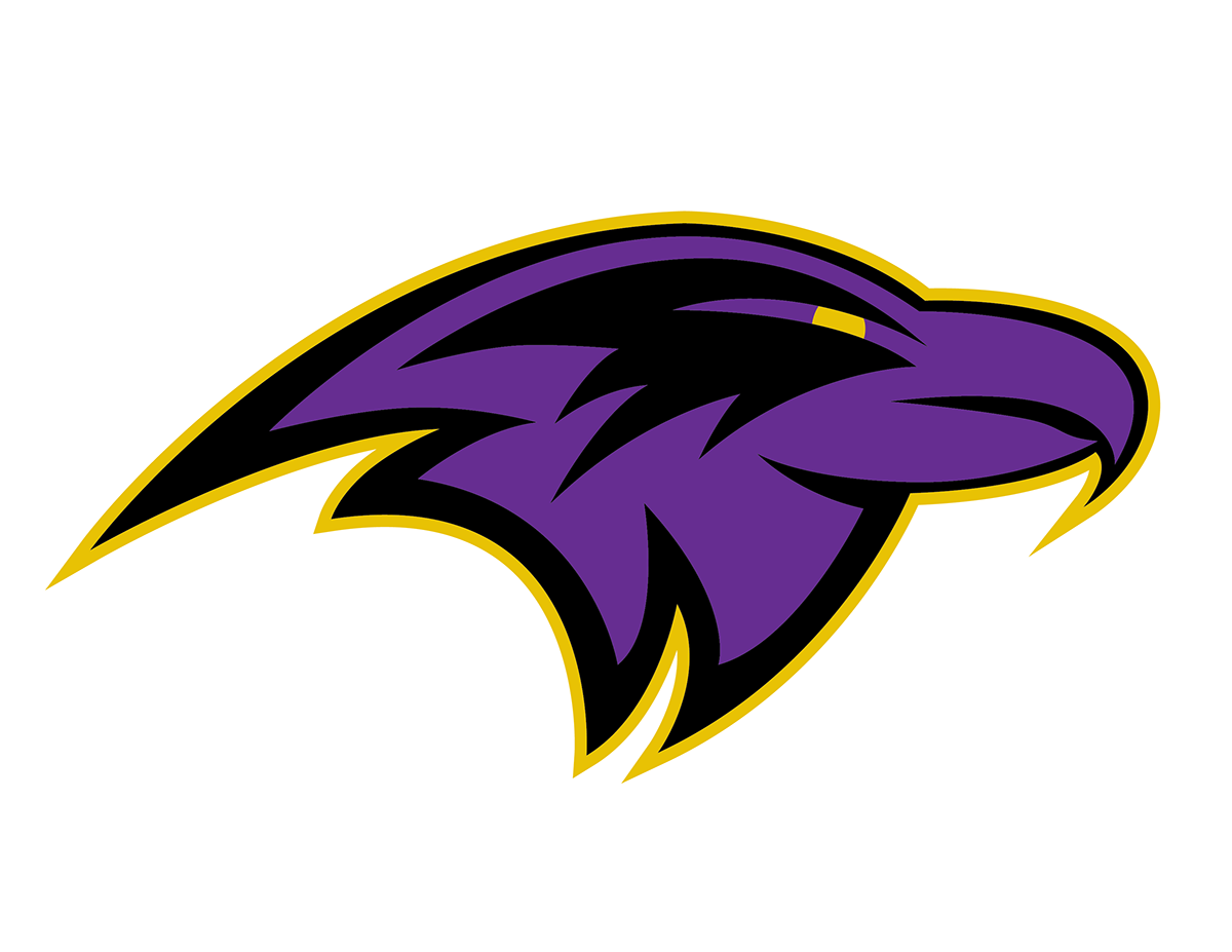 Baltimore Ravens Logo Concept on Behance
