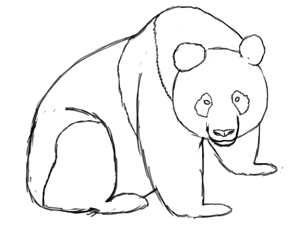 How To Draw A Panda - Draw Central