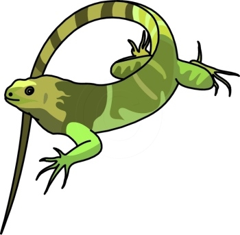 Iguana Clip Art - Free Clipart Images