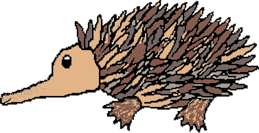 Australian Animals Clipart Echidna
